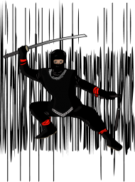 ninja