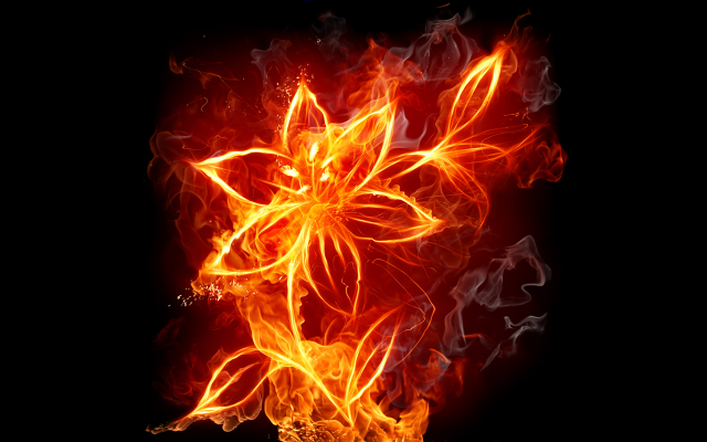 Flower-damska