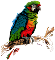 Papuga na gałęzi - piękno natury