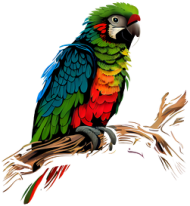 Papuga na gałęzi - piękno natury