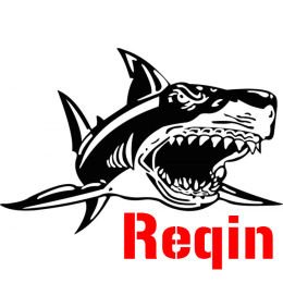 Reqin T-Shirt