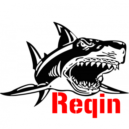 Reqin Blouse