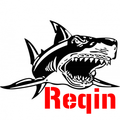 Reqin T-Shirt (KIDS BOY)