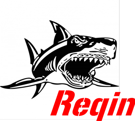 Reqin (MOUSE PAD)