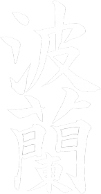 Japoński t-shirt "Polska"