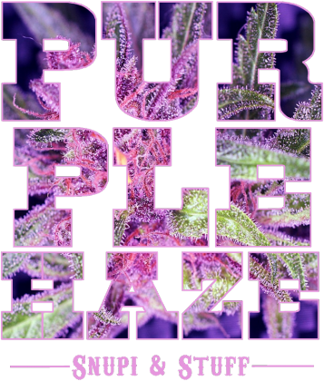 Purple haze black