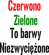 Koszulka Kibica męska