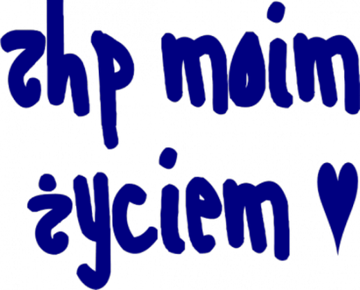 bluza zhp moim życiem męska