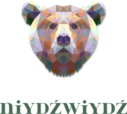 Koszulka Niydźwiydź
