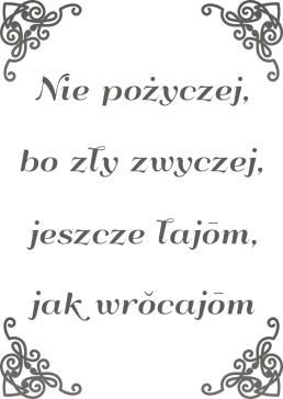 Bluza Nie pożyczej