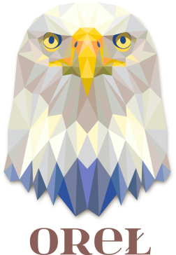 Koszulka Oreł