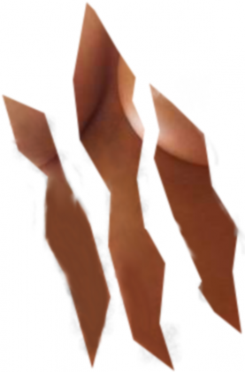 Koszulka damska "Sexy Body"