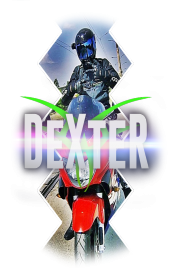 Bluza damska - biała - DeXteR Moto