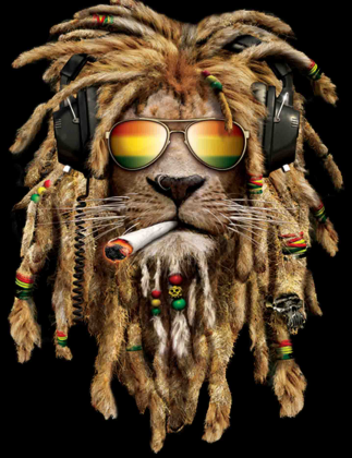 lew rasta