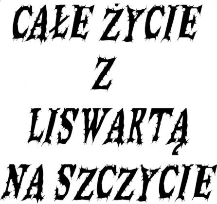 T-Shirt Całe życie.