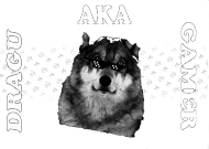 Dragu aka Gamer (damska)