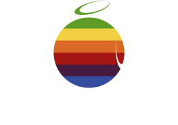 Bluza damska - THINK ULTIMATE