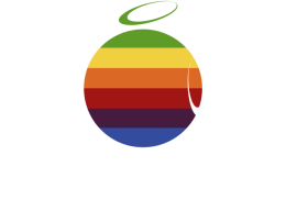 Bluza męska - THROW FRISBEE