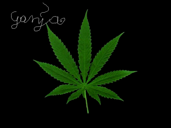 ganja