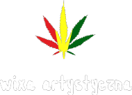 T-shirt "Wixa artystyczna"