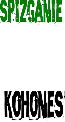 kosmiczna małpa