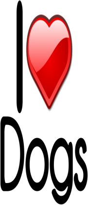 Koszulka "I love dogs" chłopięca