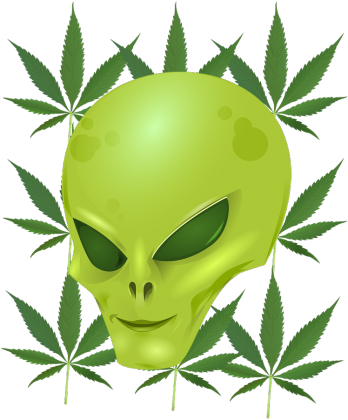 THC ALIEN