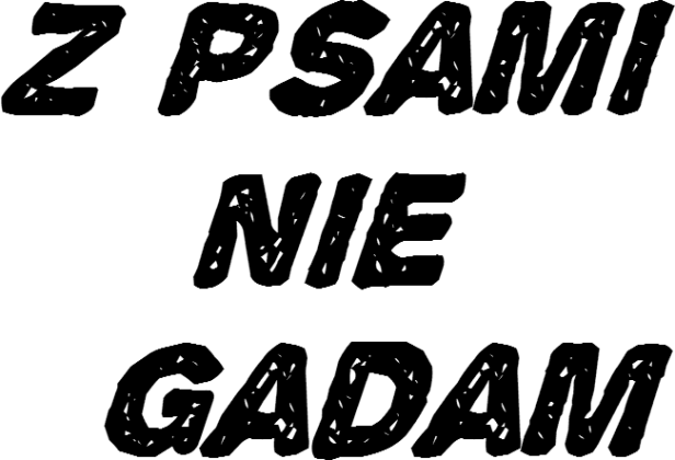 rap koszulka