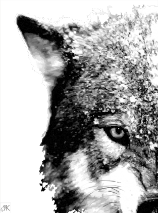 WOLF T-S BW
