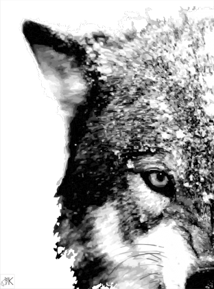 WOLF HOOD BW