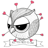 All you need is owl