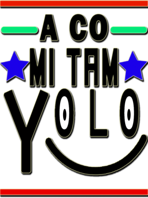Yolo 2 - nadruk