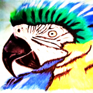 Torba Papuga