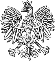 #ninety_bluza_godło