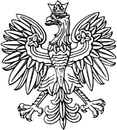 #ninety_bluza_godło