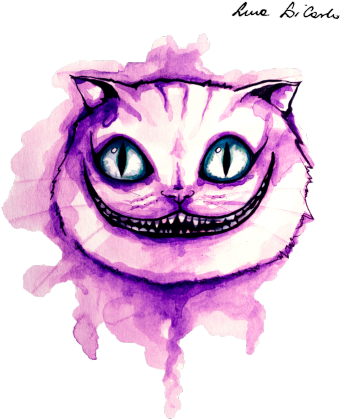 Cheshire cat bluza