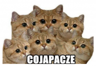 CO ja pacze ? men.