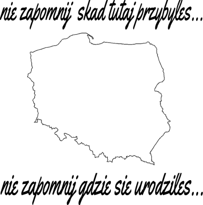 Koszulka męska 'Polska'