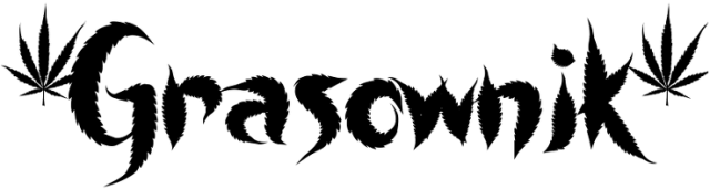 Jak Cię dorwę... 2