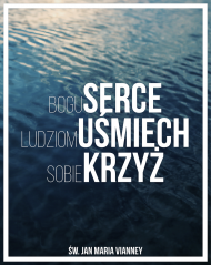 Bluza
