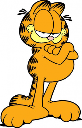 koszulka garfield