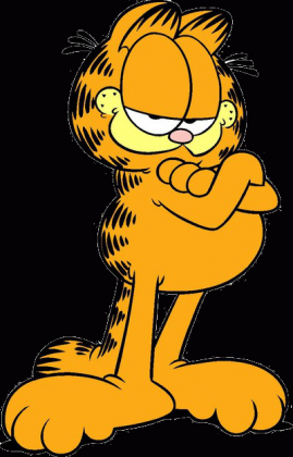 koszulka garfield