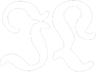 I love the photograph