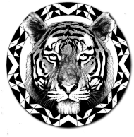 Tiger in circle [KUBEK]