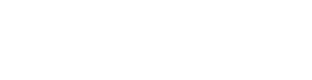 Bluza z kapturem PH 2k25
