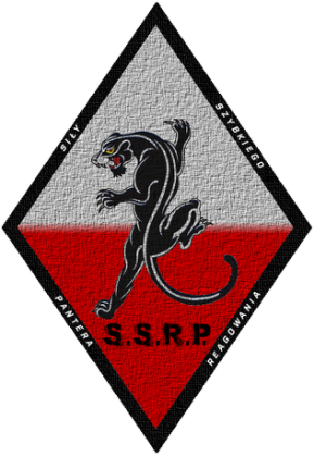 Kubek SSRP