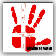 T-Shirt Dziecięcy Denmark po polsku