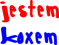 Jestem Koxem bluza męska