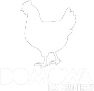 Kura domowa|T-shirt damski