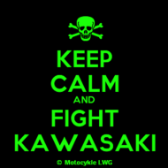 Fight Kawasaki Men